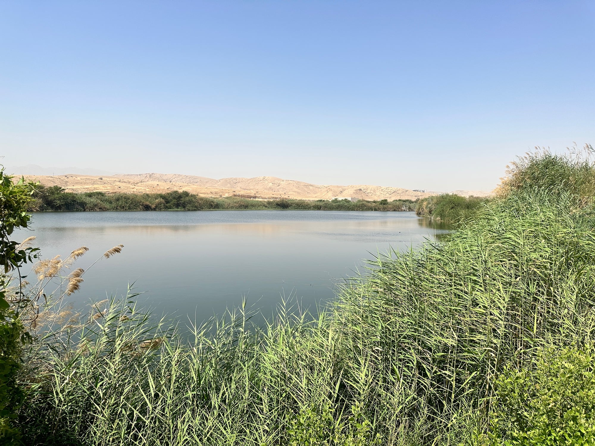 The reed-fringed wetland lake at Al Ansab with desert hills behind