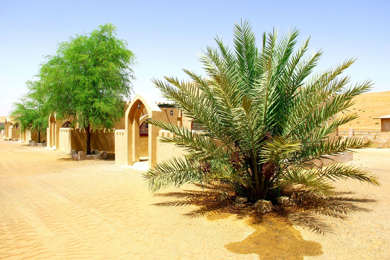 Exterior of Arabian Oryx Camp in the desert