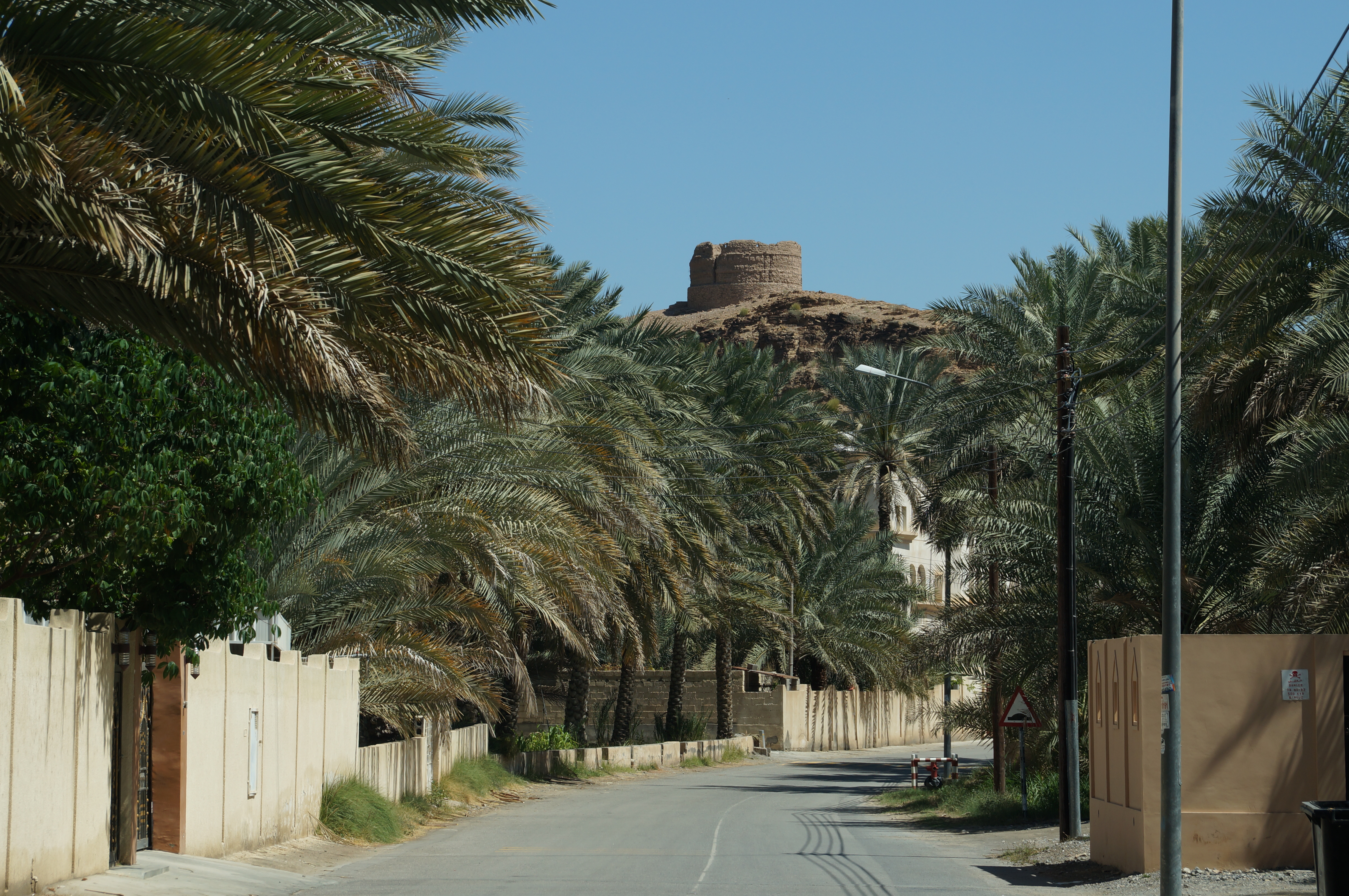 Palm grove and mud-brick village view at Birkat Al Mouz
