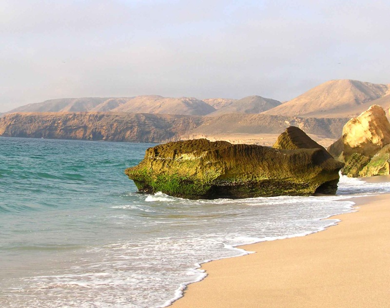 The beach at Ras al-Jinz where green turtles nest