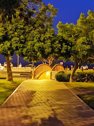 Sallan Silver Jubilee Park