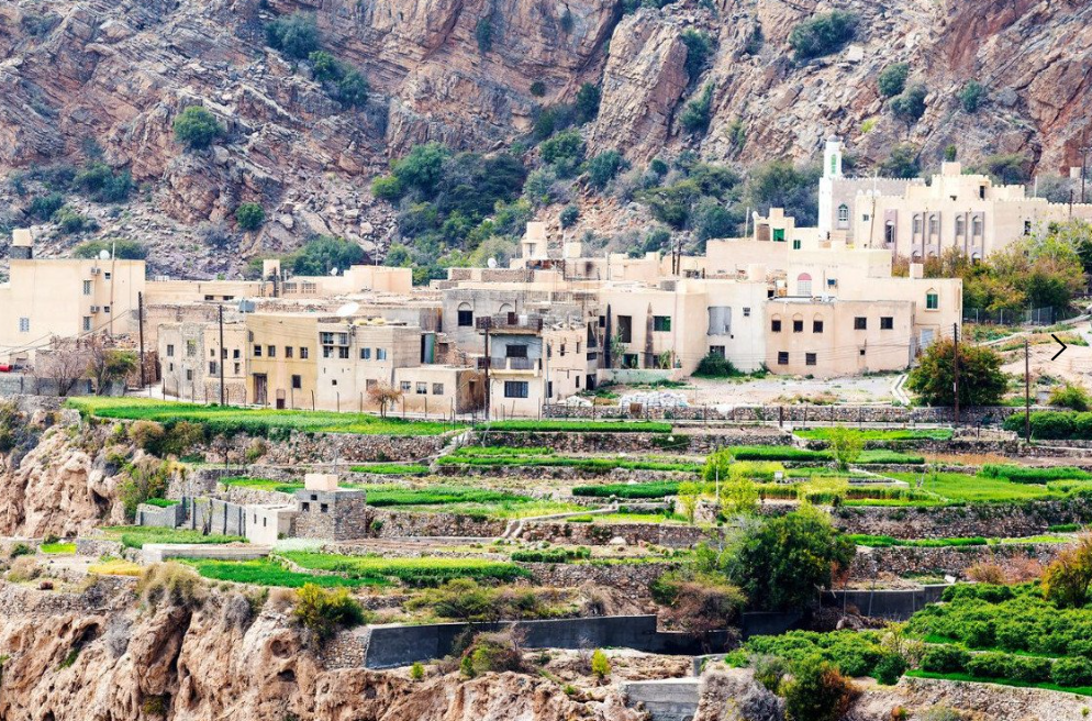 wadibani